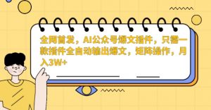 全网首发，AI公众号爆文插件，只需一款插件全自动输出爆文，矩阵操作，月入3W+【揭秘】-易得个人分享