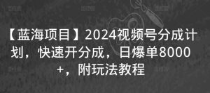 【蓝海项目】2024视频号分成计划，快速开分成，日爆单8000+，附玩法教程-易得个人分享