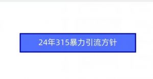 24年315暴力引流方针-易得个人分享
