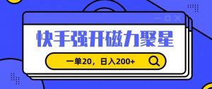 信息差赚钱项目，快手强开磁力聚星，一单20，日入200+【揭秘】-易得个人分享