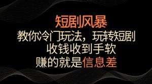 短剧风暴，教你冷门玩法，玩转短剧，收钱收到手软【揭秘】-易得个人分享