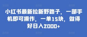 小红书最新拉新野路子，一部手机即可操作，一单15块，做得好日入2000+【揭秘】-易得个人分享