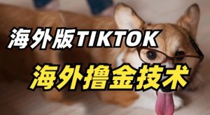 抖音海外版tiktok撸金技术，这个风口行业，赚钱真的不难【揭秘】-易得个人分享