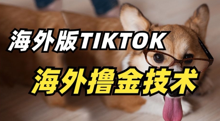 抖音海外版tiktok撸金技术，这个风口行业，赚钱真的不难【揭秘】-易得个人分享