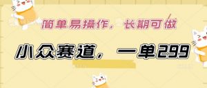 小众赛道，一单299.简单易操作，长期可做【揭秘】-易得个人分享