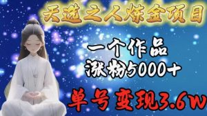 天选之人炼金项目，一个作品涨粉5000+，单号变现3.6w【揭秘】-易得个人分享