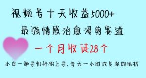 十天收益5000+，多平台捞金，视频号情感治愈漫剪，一个月收徒28个，小白一部手机轻松上手【揭秘】-易得个人分享