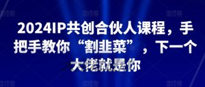2024IP共创合伙人课程，手把手教你“割韭菜”，下一个大佬就是你-易得个人分享