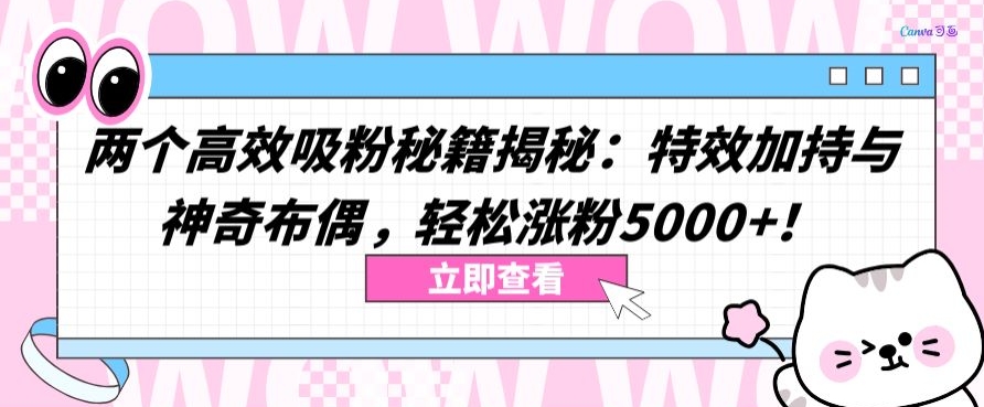 两个高效吸粉秘籍揭秘:特效加持与神奇布偶,轻松涨粉5000+【揭秘】-易得个人分享