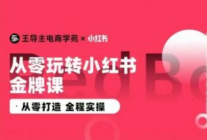 王导主·小红书电商运营实操课，​从零打造  全程实操-易得个人分享