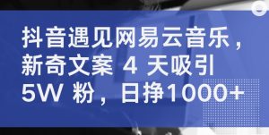 抖音遇见网易云音乐，新奇文案 4 天吸引 5W 粉，日挣1000+【揭秘】-易得个人分享