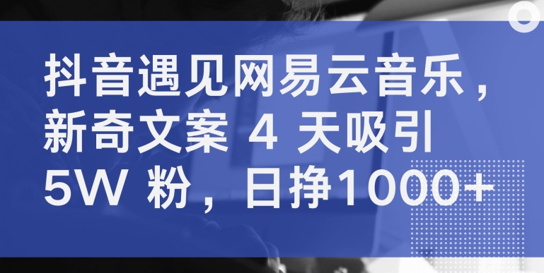 抖音遇见网易云音乐，新奇文案 4 天吸引 5W 粉，日挣1000+【揭秘】-易得个人分享