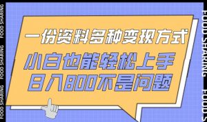 一份资料多种变现方式，小白也能轻松上手，日入800不是问题【揭秘】-易得个人分享
