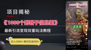 一千个野路子信息差最新玩法教程-变现+引流的玩法具体拆解【揭秘】-易得个人分享