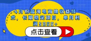 4月份蓝海电商撸收益技术，长期稳定项目，单月利润5000+【揭秘】-易得个人分享
