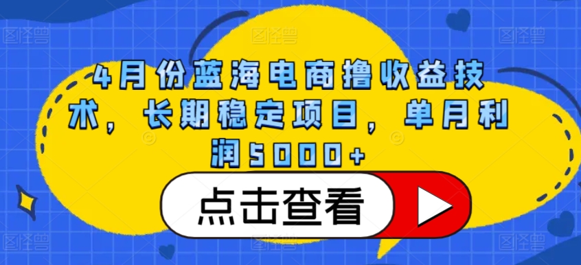4月份蓝海电商撸收益技术，长期稳定项目，单月利润5000+【揭秘】-易得个人分享