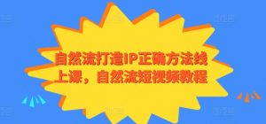 自然流打造IP正确方法线上课，自然流短视频教程-易得个人分享