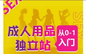 成人用品独立站从0-1入门,成品独立站运营全流程教学,七大好卖成品独立站推荐-易得个人分享