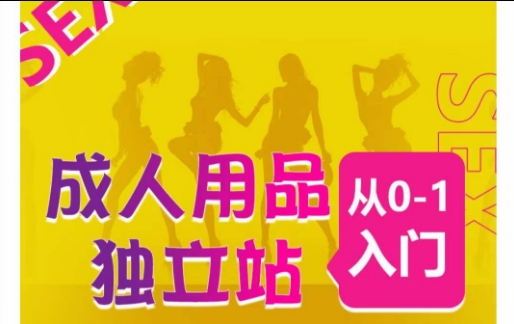 成人用品独立站从0-1入门,成品独立站运营全流程教学,七大好卖成品独立站推荐-易得个人分享