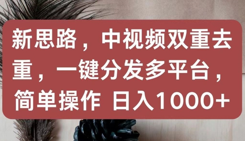 新思路，中视频双重去重，一键分发多平台，简单操作，日入1000+【揭秘】-易得个人分享