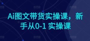 Ai图文带货实操课，新手从0-1 实操课-易得个人分享