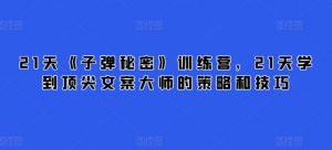 21天《子弹秘密》训练营，21天学到顶尖文案大师的策略和技巧-易得个人分享