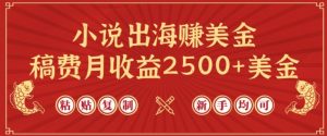 小说出海赚美金，稿费月收益2500+美金，仅需chatgpt粘贴复制，新手也能玩转【揭秘】-易得个人分享