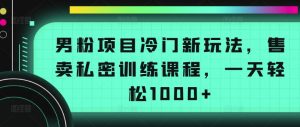 男粉项目冷门新玩法，售卖私密训练课程，一天轻松1000+【揭秘】-易得个人分享