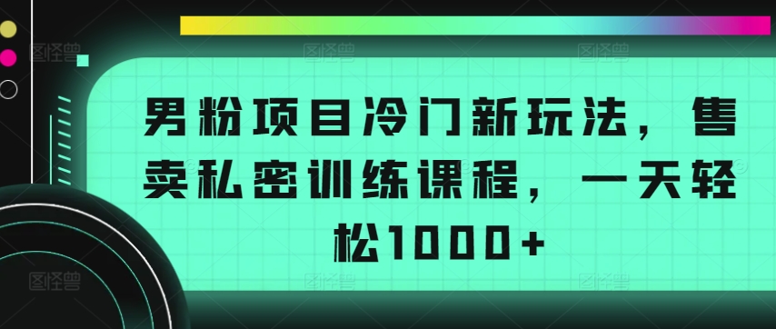 男粉项目冷门新玩法，售卖私密训练课程，一天轻松1000+【揭秘】-易得个人分享
