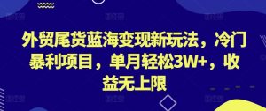 外贸尾货蓝海变现新玩法，冷门暴利项目，单月轻松3W+，收益无上限【揭秘】-易得个人分享