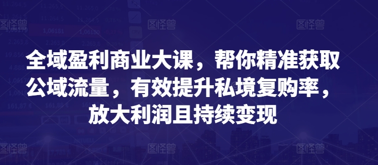 全域盈利商业大课，帮你精准获取公域流量，有效提升私境复购率，放大利润且持续变现-易得个人分享