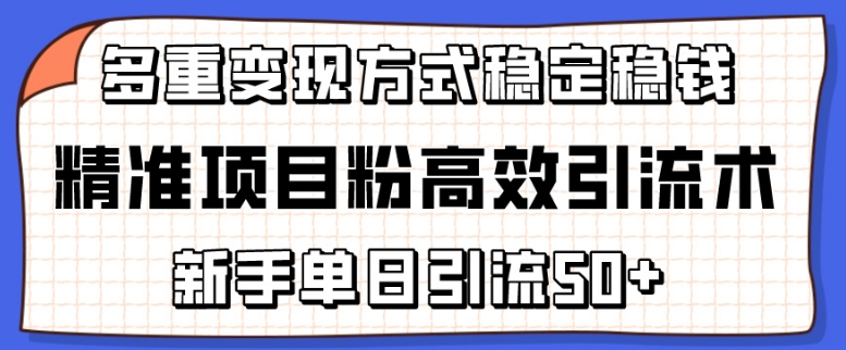 精准项目粉高效引流术，新手单日引流50+，多重变现方式稳定赚钱【揭秘】-易得个人分享