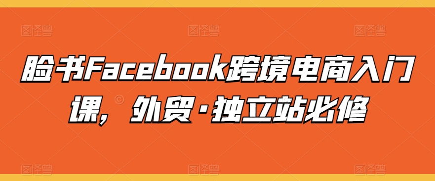 脸书Facebook跨境电商入门课，外贸·独立站必修-易得个人分享