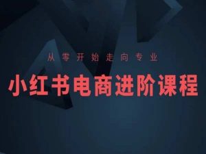 从零开始走向专业,小红书电商进阶课程-易得个人分享