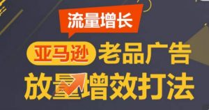 亚马逊流量增长-老品广告放量增效打法，循序渐进，打造更多TOP listing​-易得个人分享