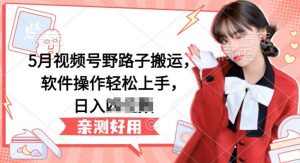 5月视频号野路子搬运，软件操作轻松上手，日入三位数【揭秘】-易得个人分享