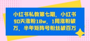 小红书私教第七期，小红书90天涨粉18w，1周涨粉破万，半年矩阵号粉丝破百万-易得个人分享