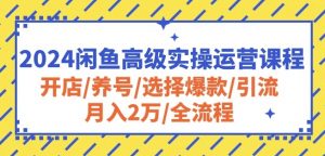 2024闲鱼高级实操运营课程：开店/养号/选择爆款/引流/月入2万/全流程-易得个人分享