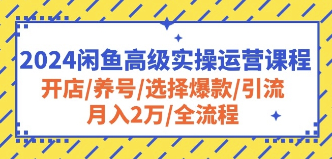 2024闲鱼高级实操运营课程：开店/养号/选择爆款/引流/月入2万/全流程-易得个人分享