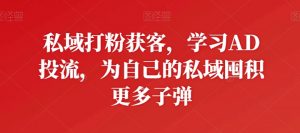 私域打粉获客，学习AD投流，为自己的私域囤积更多子弹-易得个人分享