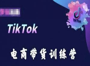 TikTok电商带货训练营，跟随时代潮流，跨境掘金-易得个人分享