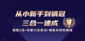 从小新手到销冠 三合一速成：销售3法+非暴力关单法+销售系统挖需课 (27节)-易得个人分享