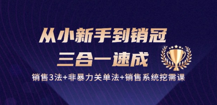 从小新手到销冠 三合一速成:销售3法+非暴力关单法+销售系统挖需课 (27节)-易得个人分享