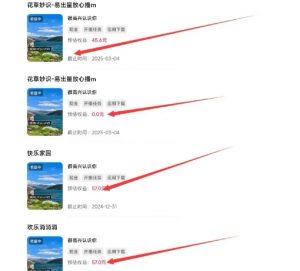 磁力聚星游戏副业陪跑训练营1.0，长期稳定项目，有人一周干了1K+-易得个人分享