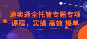 速卖通全托管专题专项课程，实操 高效 爆单-易得个人分享