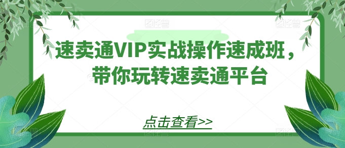 速卖通VIP实战操作速成班，带你玩转速卖通平台-易得个人分享