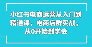 小红书电商运营从入门到精通课，电商店群实战，从0开始到学会-易得个人分享