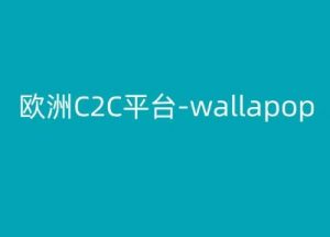 欧洲C2C平台-wallapop-kim跨境电商教程-易得个人分享