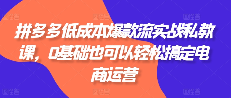 拼多多低成本爆款流实战私教课，0基础也可以轻松搞定电商运营-易得个人分享