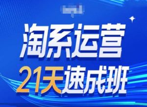 淘系运营24天速成班第28期最新万相台无界带免费流量-易得个人分享